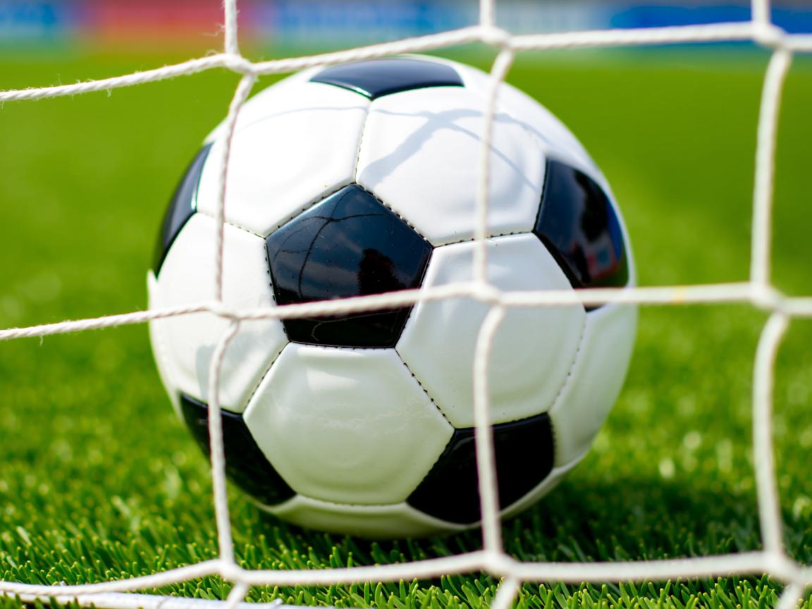 kaiyun网址-体育新闻中心上线体育创作者信用评分模型，体育新闻评选  第2张